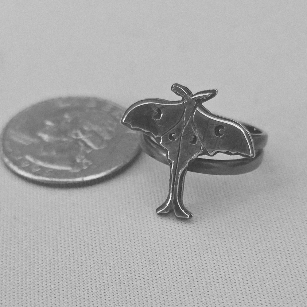 Silver Moth Ring